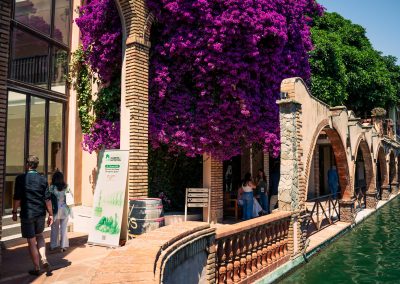 Exterior view of the DNSG 2026 venue with brick arches, a pool and flowering bougainvillea.